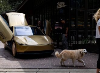 Elon Musk say Tesla is working to prevent robotaxis from running over gray cats on the road