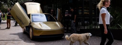Elon Musk say Tesla is working to prevent robotaxis from running over gray cats on the road