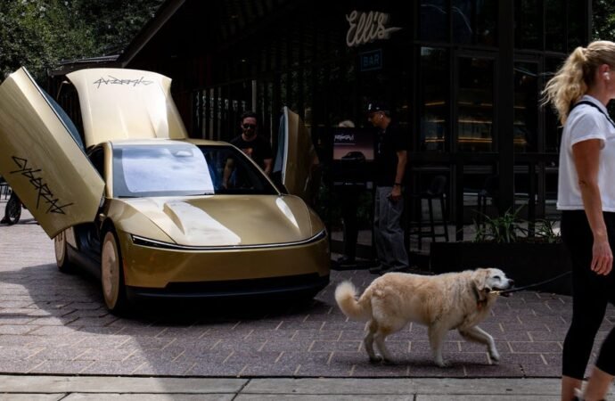 Elon Musk say Tesla is working to prevent robotaxis from running over gray cats on the road