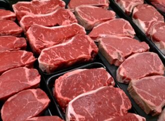 Everyone has the same question in the midterms — where’s the beef?