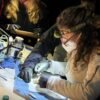 Expert ‘bat wranglers’ put GPS trackers on California’s bats
