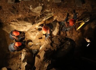 Extinct ice age bovine discovered in Siberian cave