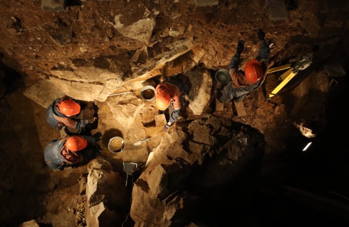 Extinct ice age bovine discovered in Siberian cave