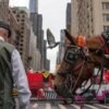 Facing a ban on horse-drawn carriages, Central Park’s drivers fear for livelihoods