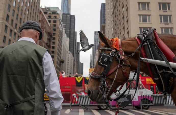 Facing a ban on horse-drawn carriages, Central Park’s drivers fear for livelihoods