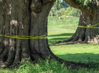 Federal judge orders Trump administration to halt work on historic DC golf course until Oct. 26