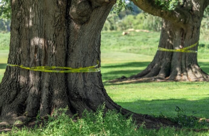 Federal judge orders Trump administration to halt work on historic DC golf course until Oct. 26