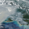 Fires Char New Guinea – NASA Science