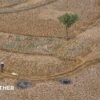 Five ways El Niño is affecting the weather around the world