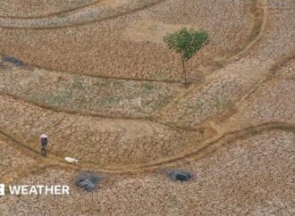 Five ways El Niño is affecting the weather around the world