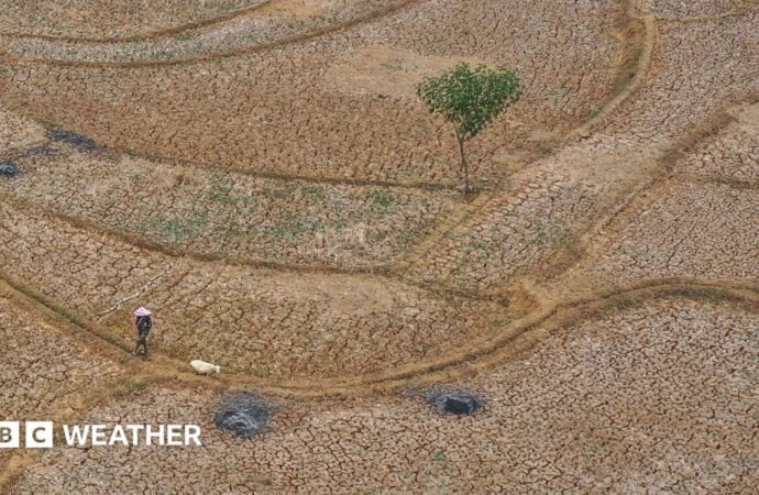 Five ways El Niño is affecting the weather around the world