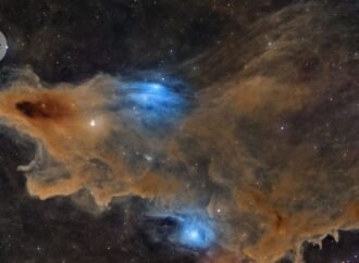 Gaze into the cosmos and through the eyes of a bee — September’s best science images