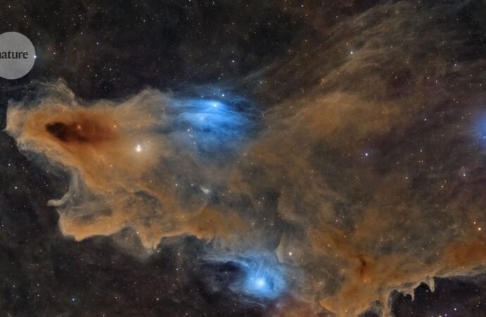 Gaze into the cosmos and through the eyes of a bee — September’s best science images
