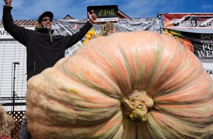 Giant pumpkins battle for heavyweight glory and the world record in California