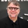 Guillermo Del Toro Defends ‘Digger,’ Calls the Film ‘Daring, Bold and Cinematically Complex’