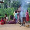 Gut microbes followed migrating humans across continents, new study suggests