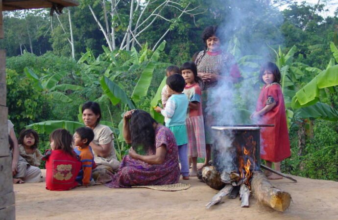 Gut microbes followed migrating humans across continents, new study suggests