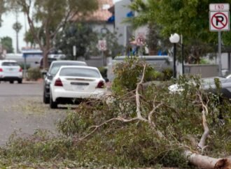 Hail the size of golf balls pummels parts of Arizona as rare storm moves through the West