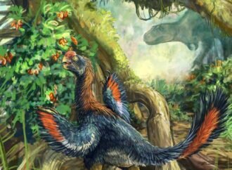‘Hell chicken’ dinosaur likely dined on fruit, not meat