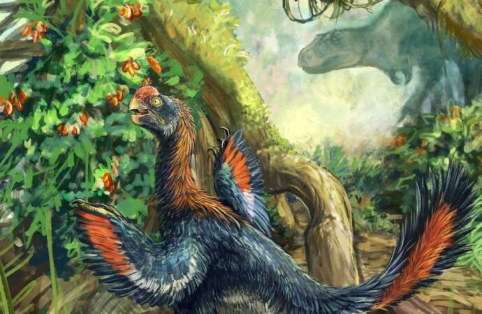 ‘Hell chicken’ dinosaur likely dined on fruit, not meat