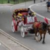 Horse carriages in New York City expected to be outlawed