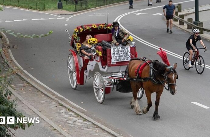 Horse carriages in New York City expected to be outlawed