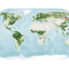 Hunting Red Leaves with Satellites – NASA Science
