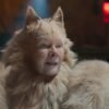 Judi Dench Says Panned ‘Cats’ Film Was a ‘Waste’ of Andrew Lloyd Webber’s ‘Goodwill and Talent’: ‘Oh God, I Can’t Bear It’