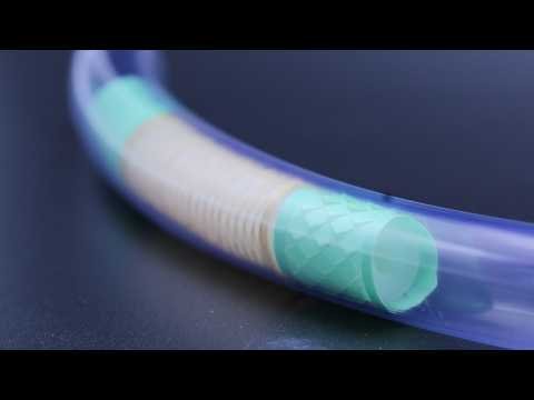 MIT develops robot that slithers through intestines like a snake
