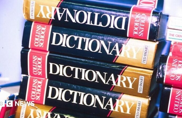 Maxxing selected as Dictionary.com word of the year