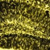 Memory stays strong in old age when this brain enzyme is active