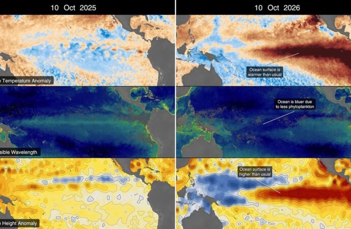 NASA Satellites Observe Historic 2026 El Niño – NASA Science