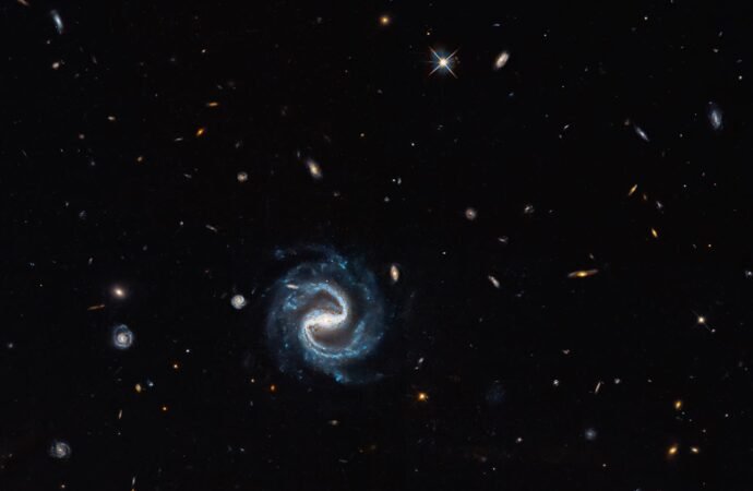 NASA’s Hubble Charts Path for Roman with Gravitational Lenses – NASA Science