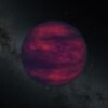 NASA’s SPHEREx Telescope Sees Menagerie of Brown Dwarfs – NASA