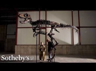 Nanotyrannus named Jodi needs a new home (if you have $9M)