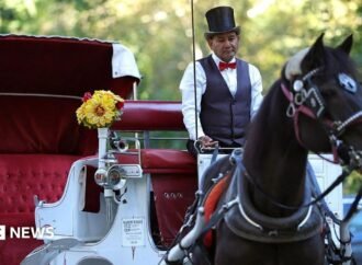 New York bans horse-drawn carriages over safety and abuse concerns