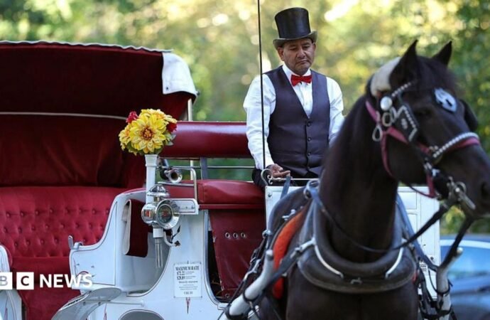New York bans horse-drawn carriages over safety and abuse concerns