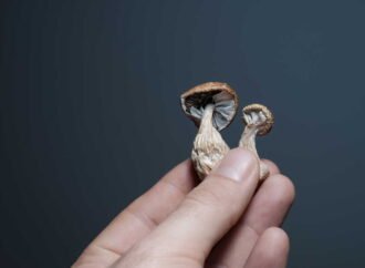 New human data hints at psychedelics’ potential to combat inflammation