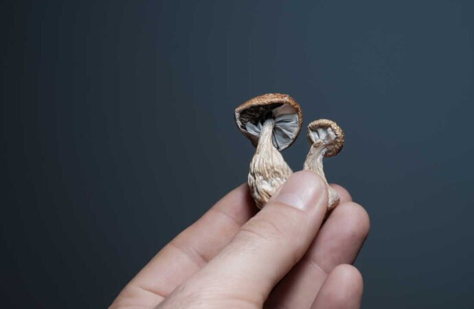New human data hints at psychedelics’ potential to combat inflammation