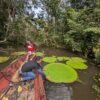 New water lily can be seen from space