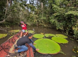 New water lily can be seen from space