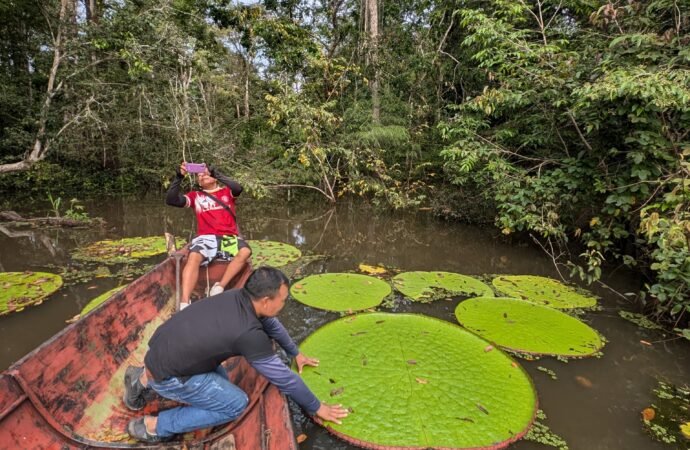 New water lily can be seen from space