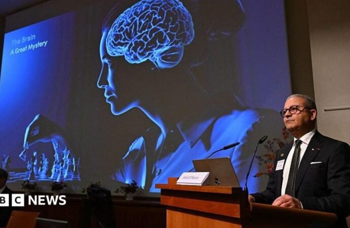 Nobel Prize 2026 awarded for showing how nerve cells shape feelings