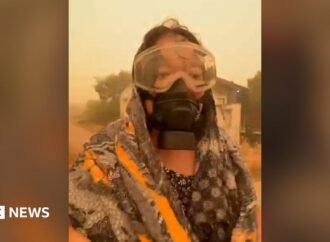 ‘Nowhere to escape’ – Indonesians share footage of orange haze blanketing towns