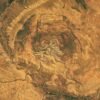 October 2026 Satellite Puzzler – NASA Science