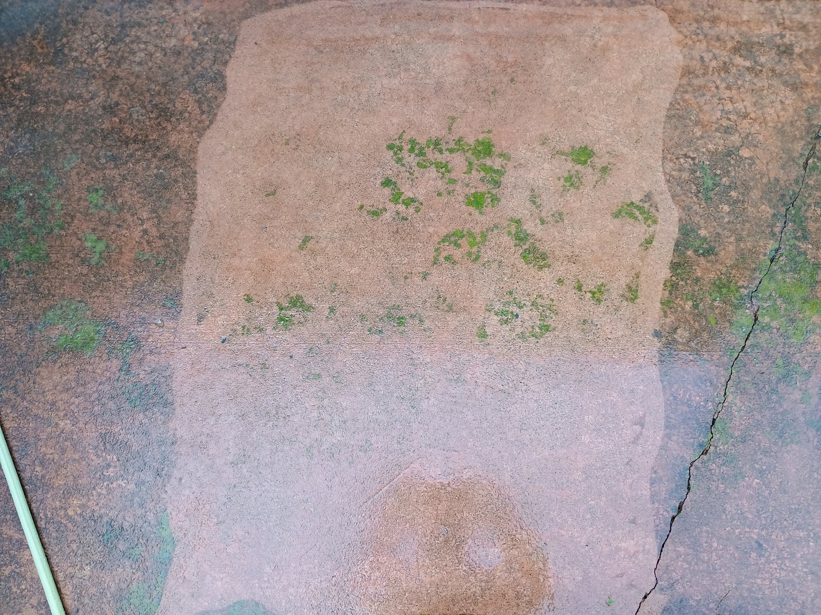 A section of pavement after it was cleaned with the AR Blue Clean 383SS power washer. It's much cleaner, but there are still some mossy areas visible.