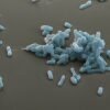 Plague scare: what scientists know — and what Russia won’t say