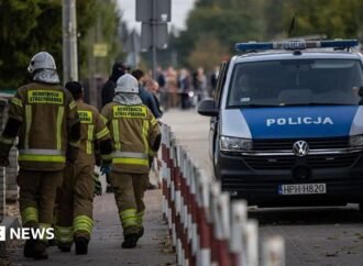 Poland stabbings driven by online glorification of violence, Tusk says