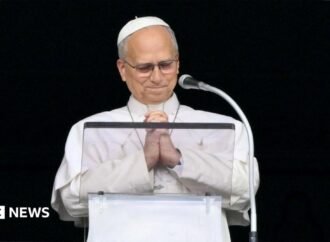 Pope Leo XIV thanks wellwishers in first event after cancer surgery