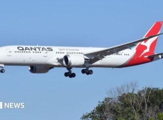 Qantas flight grounded after bedbug outbreak